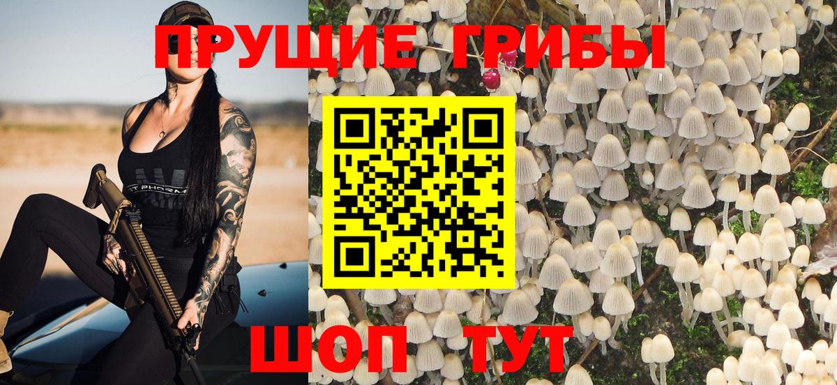 Галлюциногенные грибы Cubensis  Галлюциногенные грибы MAGIC MUSHROOMS  Вход с VPN  Касимов 